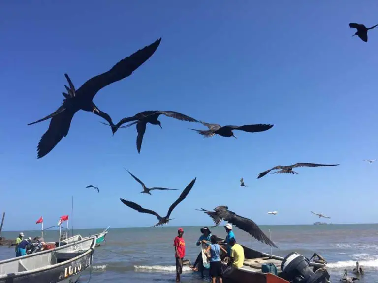 Küste bei Chitre mit Rückkehr der Fischboote