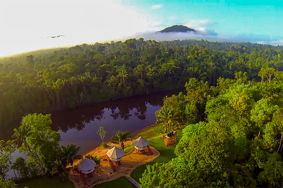 Die Kabalebo Lodge von oben mit Blick über den Regenwald