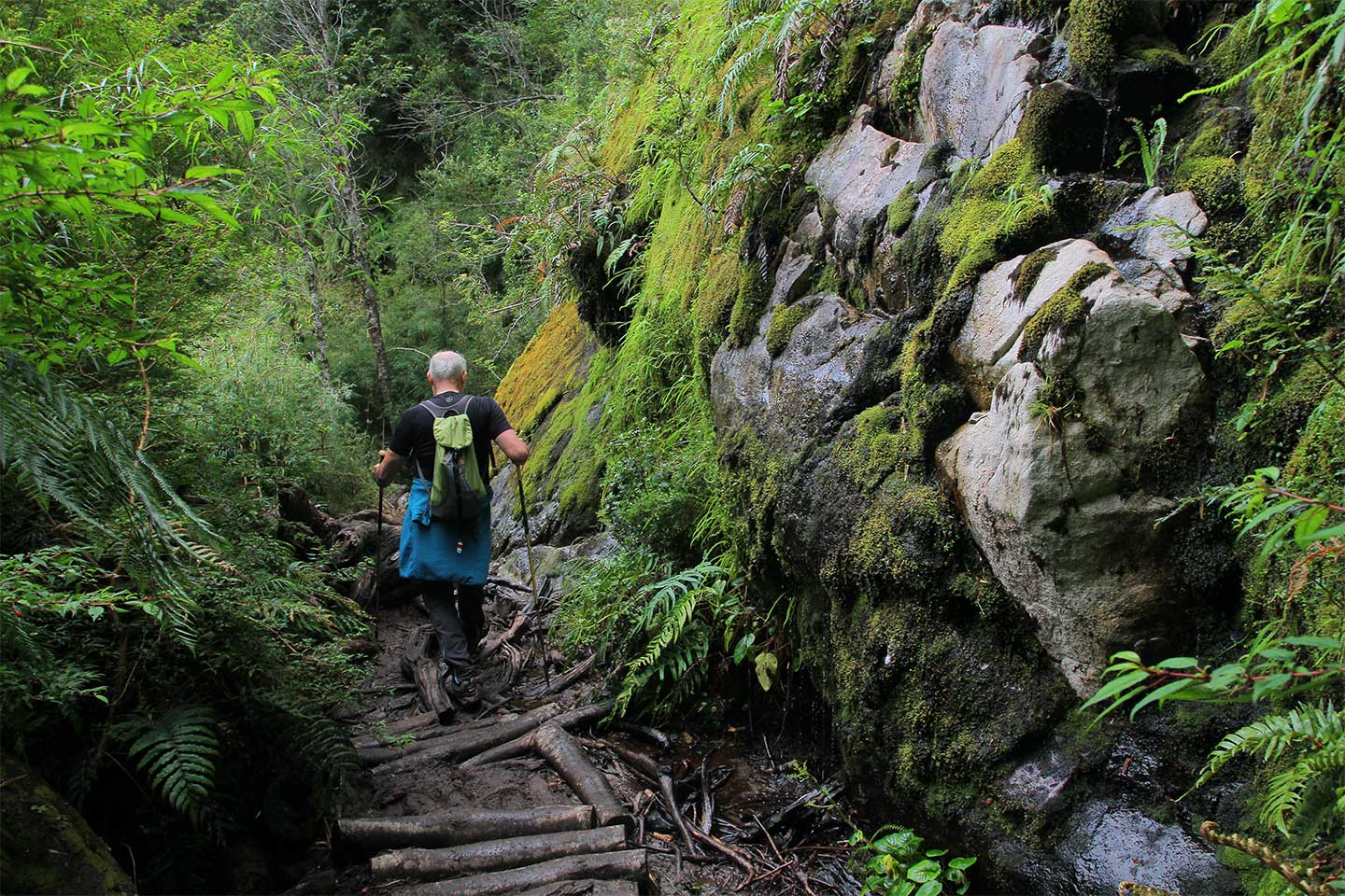 Ein Wanderer im Queulat Nationalpark bei Puyuhuapi