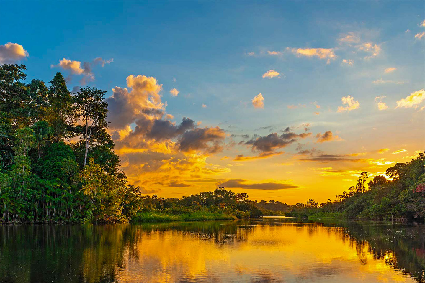 Sonnenuntergang im Amazonas Gebiet in Suriname