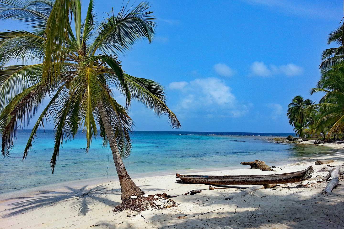 Karibische Träume: Eine Palme, dahinter ein kleines Boot auf der Isla Diablo