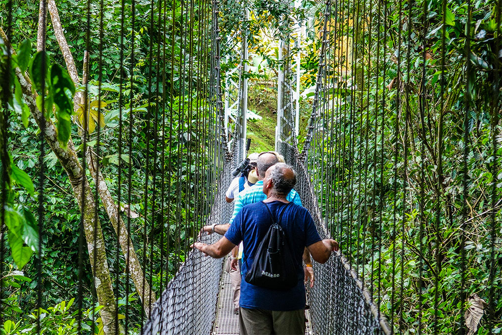 Eine Reisegruppe geht über eine Hängebrcke durch den Regenwald