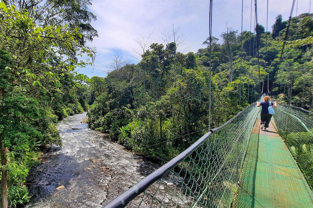 Der Rio Sarapiqui und eine der längsten Hängebrücken in Costa Rica