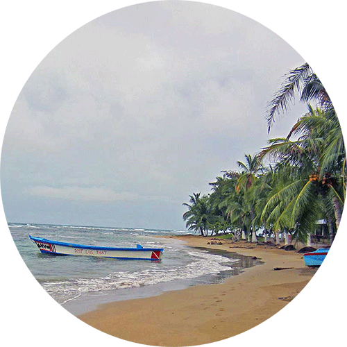 Ein kleines Boot liegt an einem Strand mit vielen Palmen, der Himmel ist stark bewölkt.