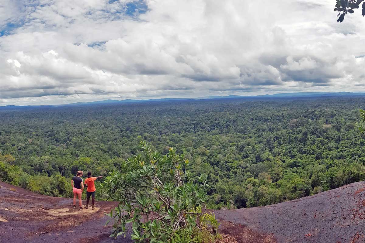 Panoramablick vom Fredberg über den Regenwald