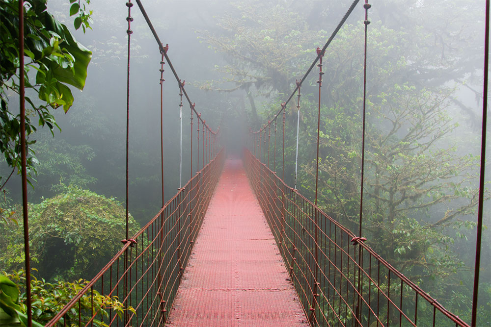 Über eine Hängebrücke im Monteverde Nebelwald zu gehen, ist ein wunderschönes Erlebnis. Vor allem, wenn der Wald durch Nebelschwaden etwas Mystisches hat.