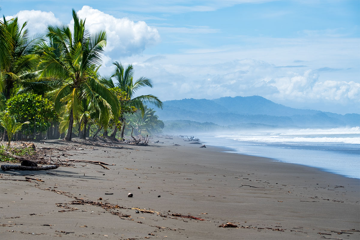 Ein langer Pazifikstrand bei der Playa Matapalo an der südlichen Pazifikküste mit Palmen und wilder Küste.
