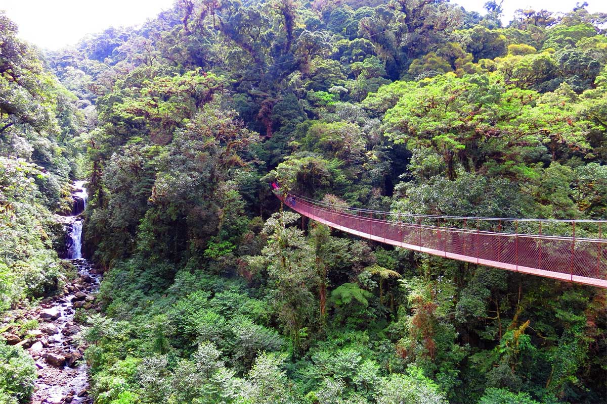 Wanderung über die Hängebrücken von Boquete in Panama