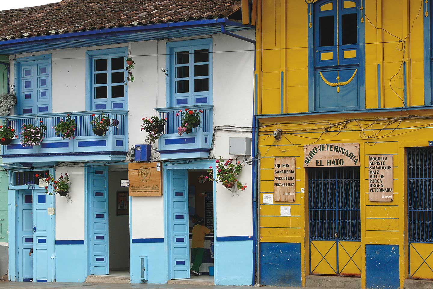 Bunte Häuserfassade in dem kleinen Dorf Salento in der Kaffeezone