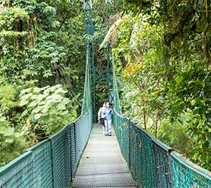 Selvatura Park Monteverde - eine Hängebrücke