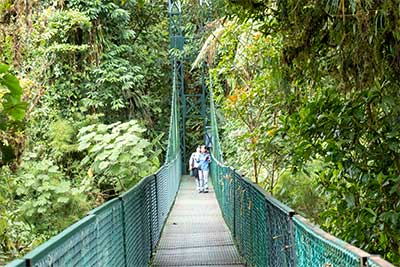 Selvatura Park Monteverde - eine Hängebrücke