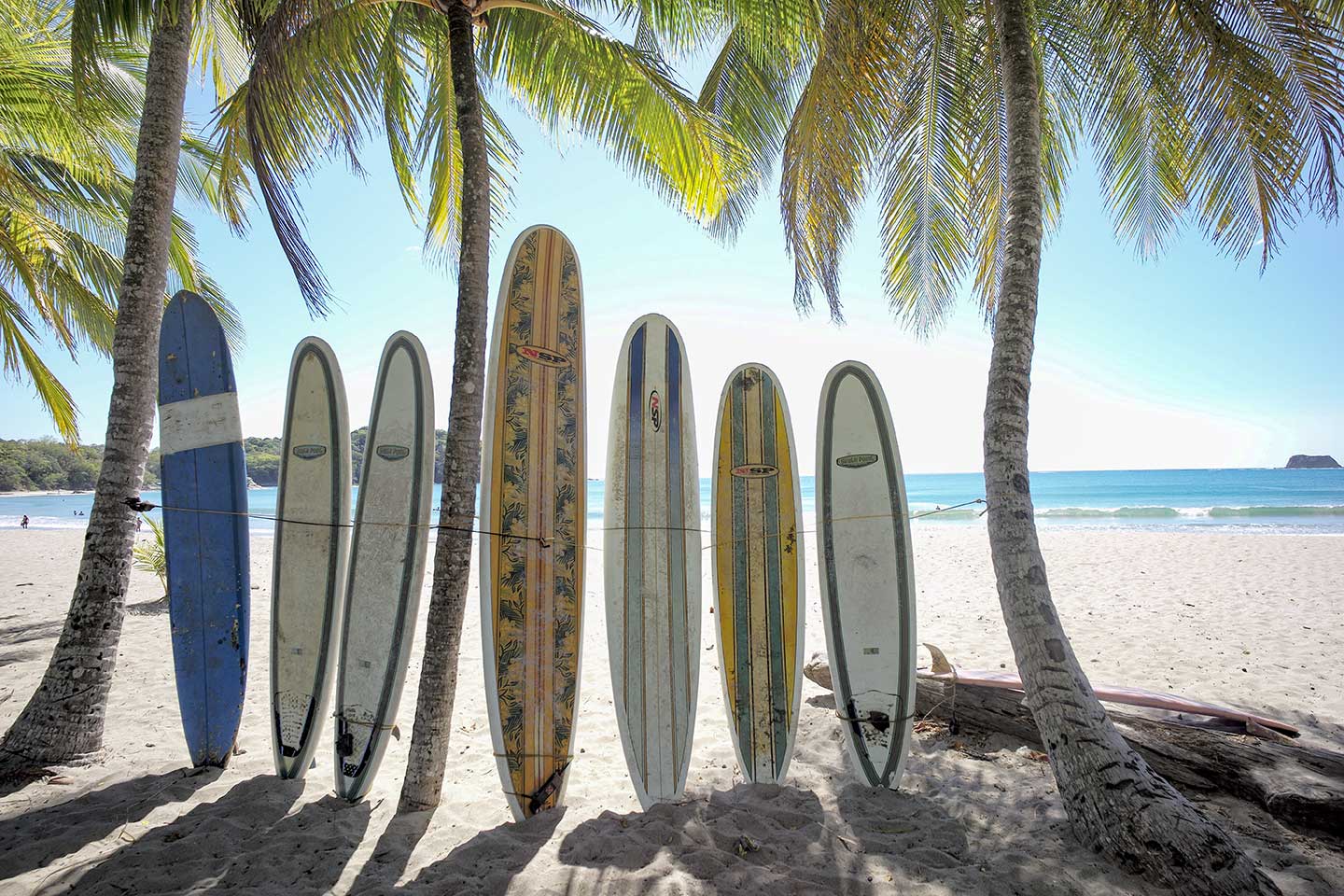 Surfbretter an einem Strand unter Palmen