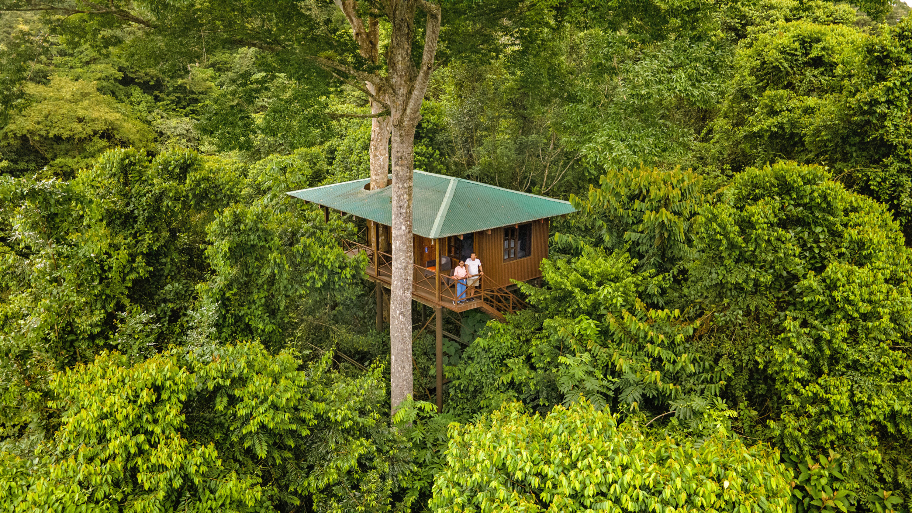 Maquenque Eco Lodge in Boca Tapada - Baumhaus mitten im Regenwald-Schutzgebiet