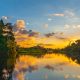 Suriname Abenddämmerung im Regenwald